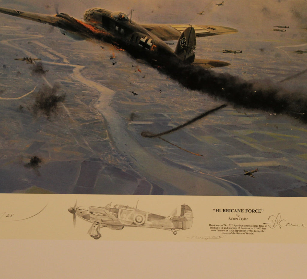 Hurricane Force by Robert Taylor - Remarque