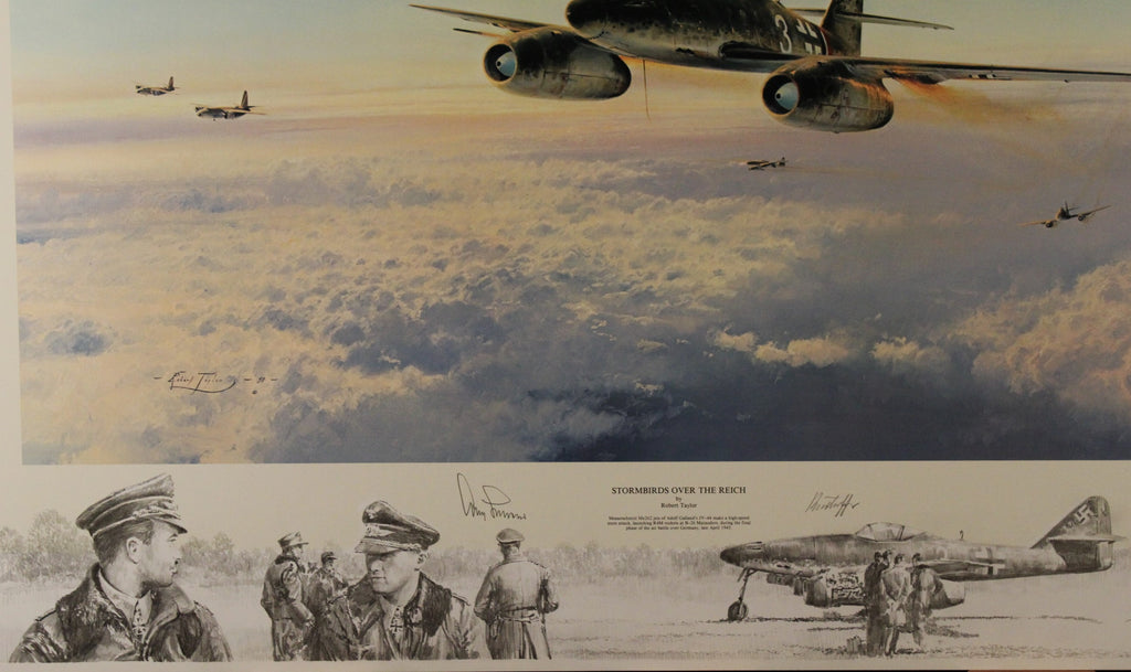 Stormbirds Over the Reich - Large Remarque