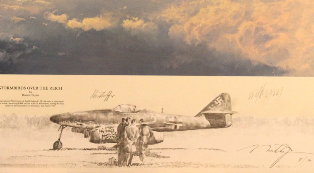 Stormbirds Over the Reich - Large Remarque