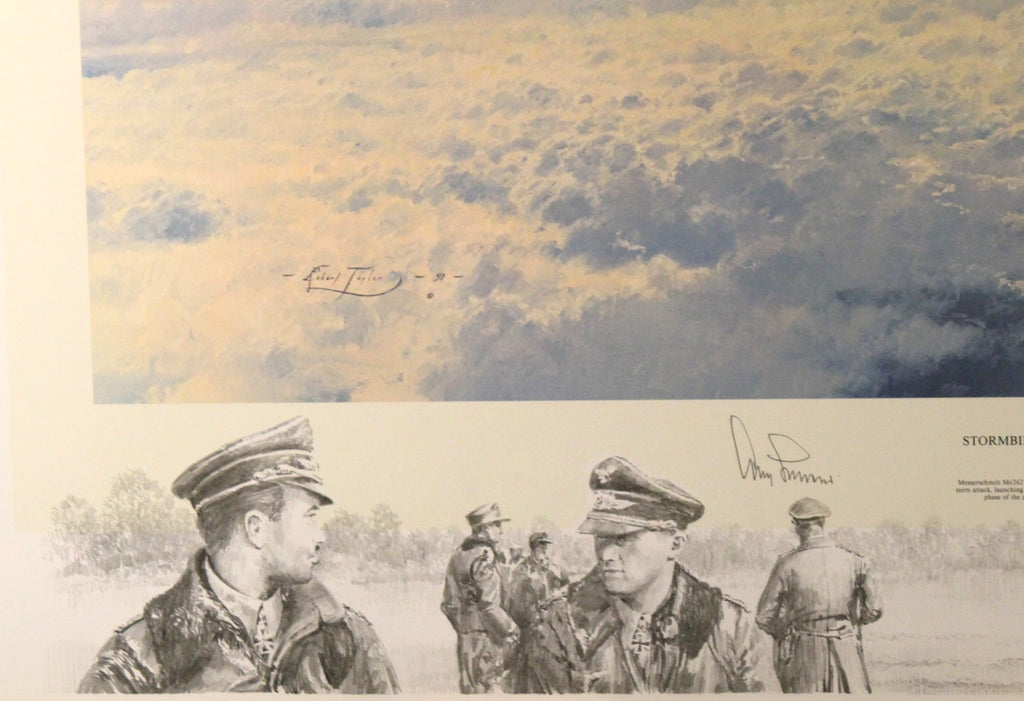 Stormbirds Over the Reich - Large Remarque