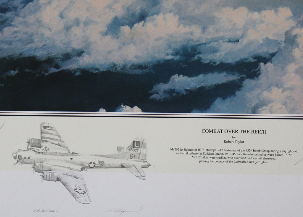 Combat Over the Reich by Robert Taylor