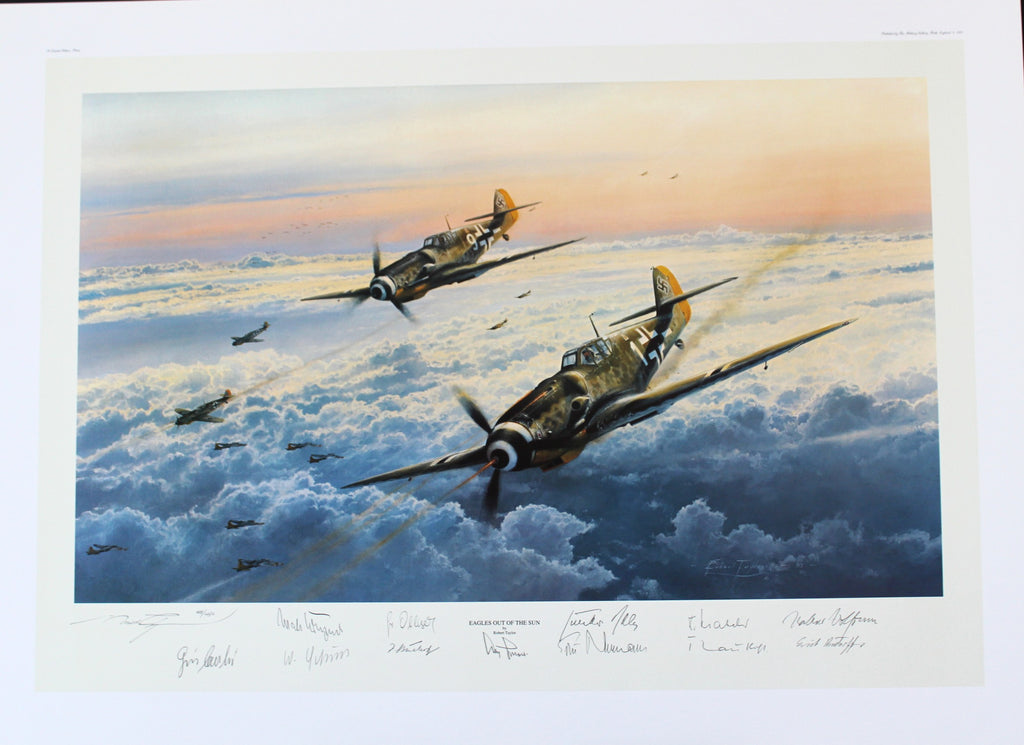 Eagles Out of the Sun by Robert Taylor