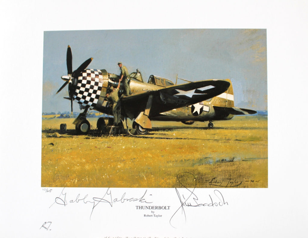Mustangs on the Prowl by Robert Taylor - Aces and Mighty Eighth Editions