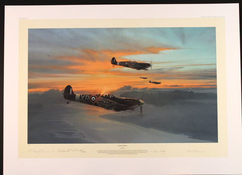 Eagle Force by Robert Taylor