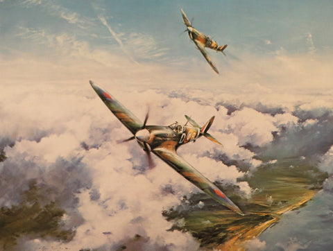 Spitfire by Robert Taylor