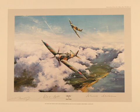 Spitfire by Robert Taylor