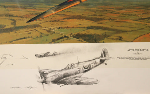 After the Battle by Robert Taylor - Double Remarque