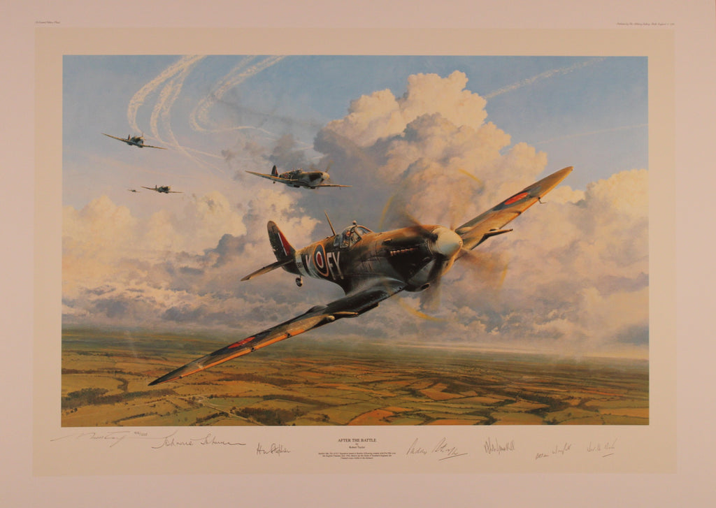 After the Battle by Robert Taylor