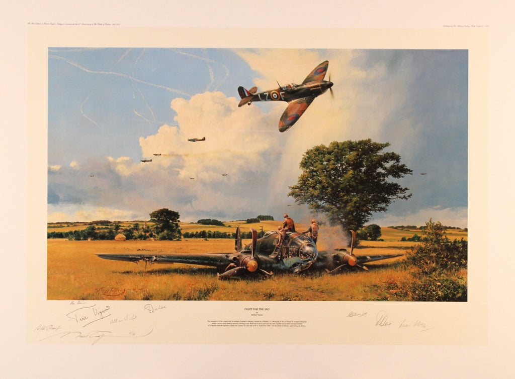 Fight for the Sky by Robert Taylor