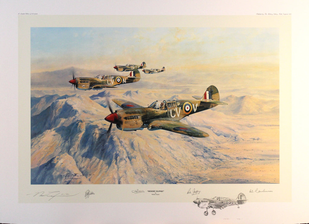 Desert Hawks by Robert Taylor - Remarque
