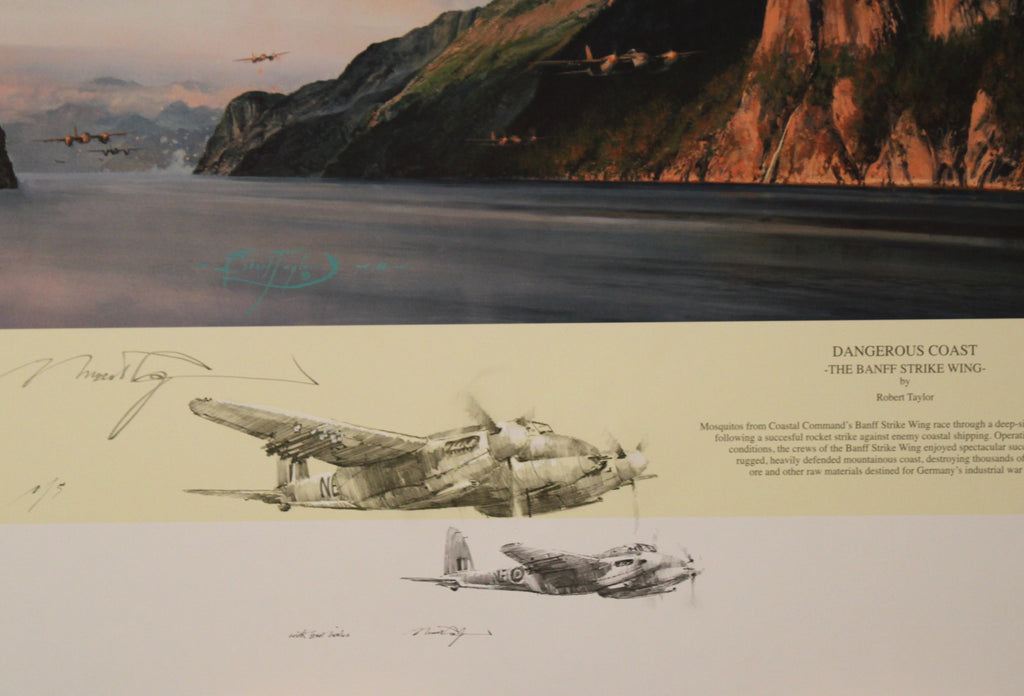 Dangerous Coast by Robert Taylor - Double Remarque