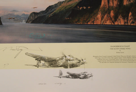 Dangerous Coast by Robert Taylor - Double Remarque