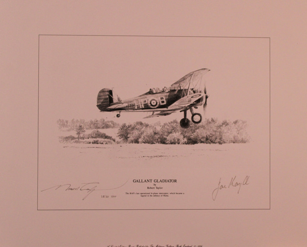 Height of the Battle by Robert Taylor - RAF Edition