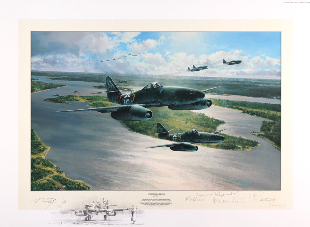Stormbirds Rising by Robert Taylor - Double Remarque