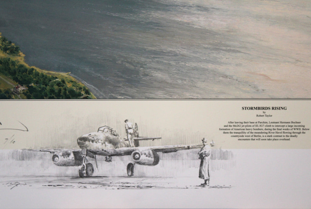 Stormbirds Rising by Robert Taylor - Double Remarque