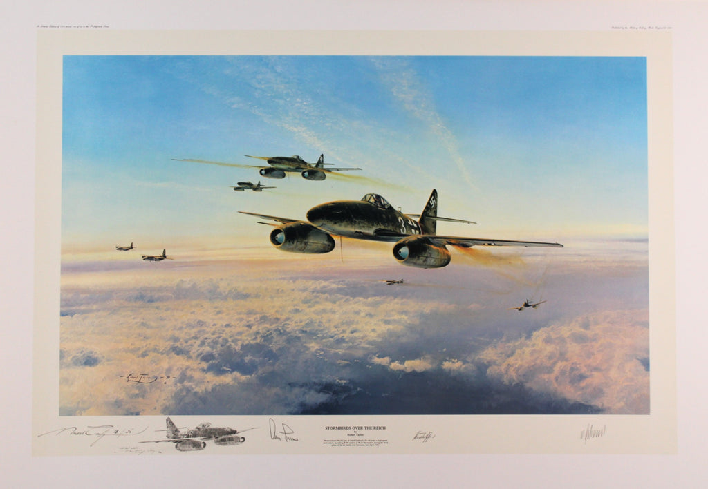 Stormbirds Over The Reich - Remarque