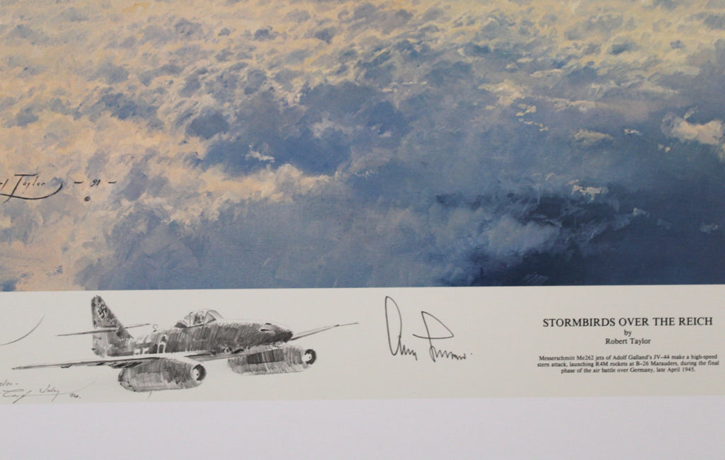 Stormbirds Over The Reich - Remarque